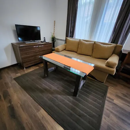 Aparthotel Borche *