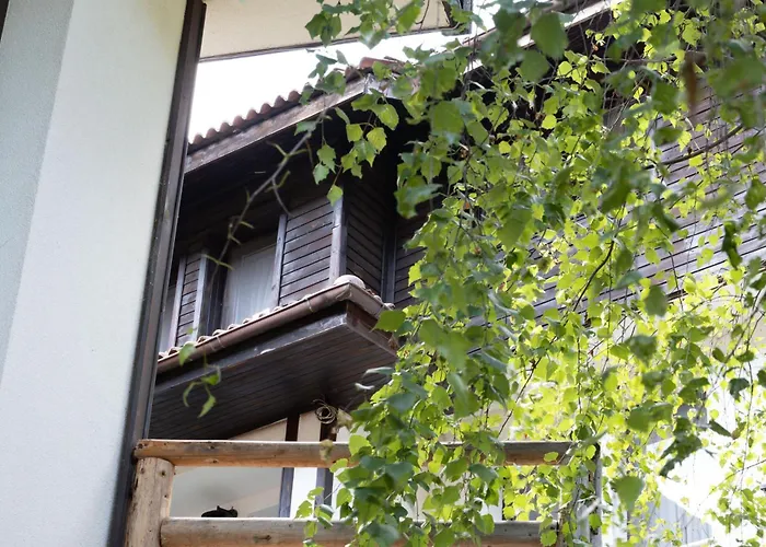 Aparthotel Borche Family Homes Pamporovo