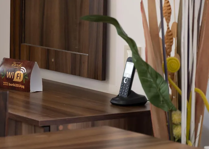 Aparthotel Borche Family Homes Pamporovo